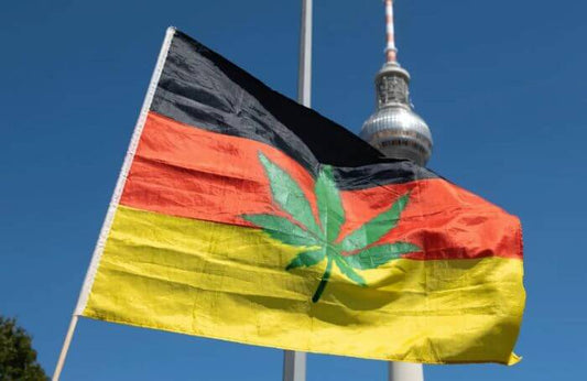 Germany's Cannabis Legalisation Plan