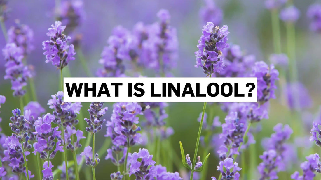 What is linalool?