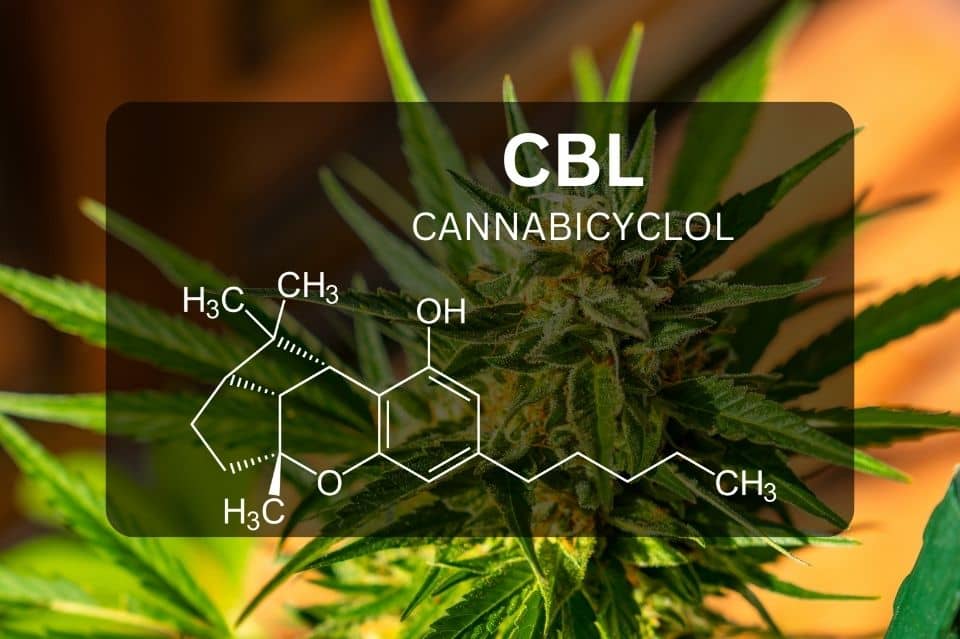CBL chemical structure