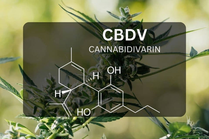 CBDV chemical structure