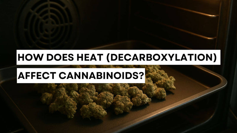 How does heat (decarboxylation) affect cannabinoids?