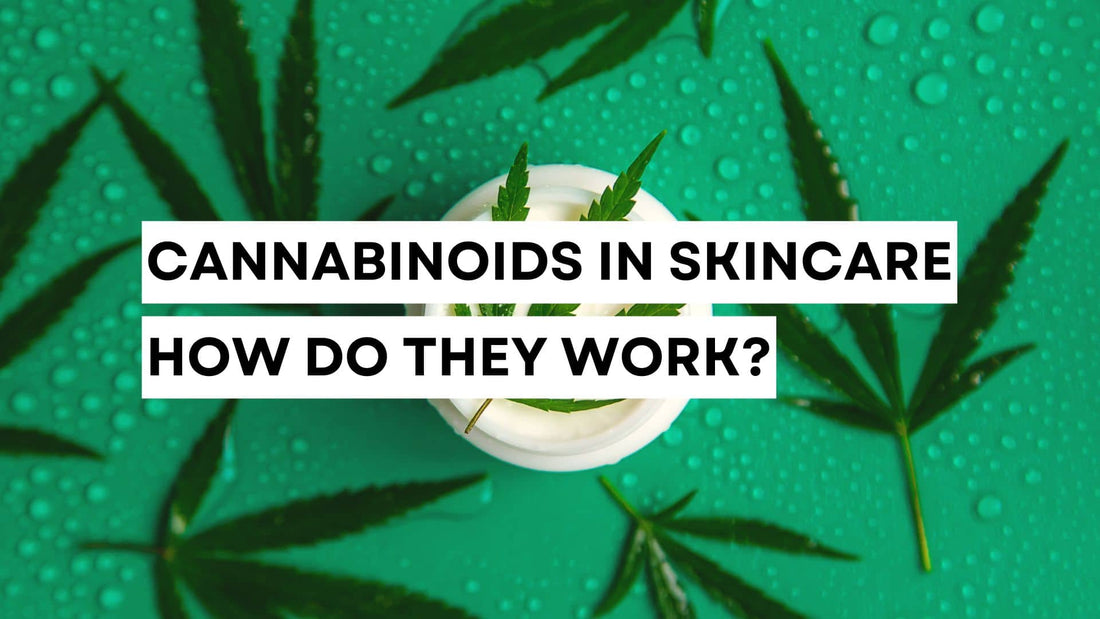 Skincare product with cannabinoid