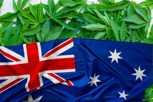 Cannabis leaves and Australian flag