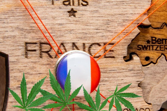 French flag with cannabis leaves