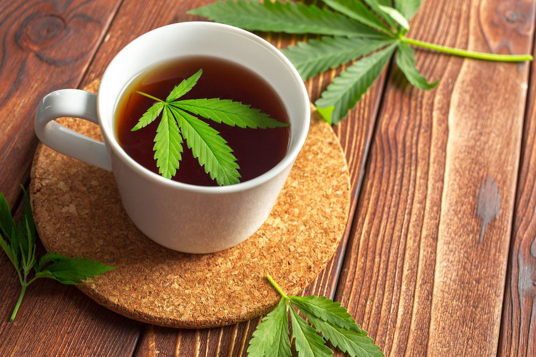 Embracing EU's Approval of Hemp Leaves for Herbal Infusion