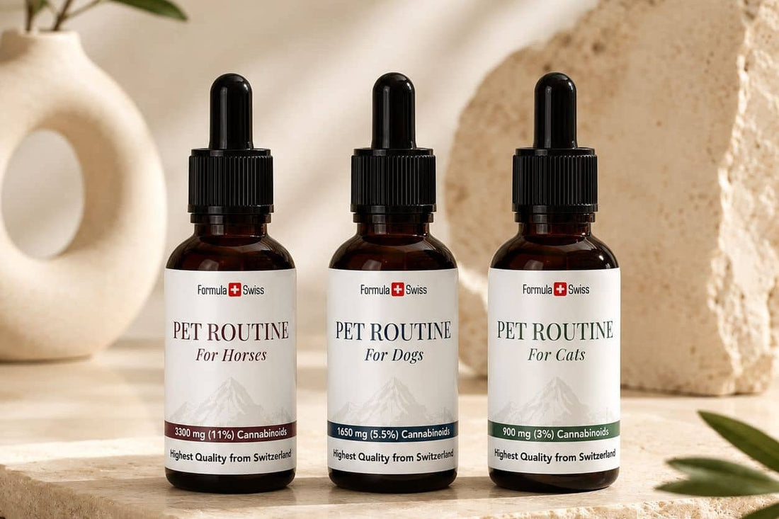 Formula Swiss Pet Routine CBD oils for horses, dogs and cats on a stone surface