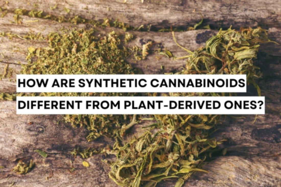 Synthetic cannabinoids compared to natural plant-derived cannabinoids.