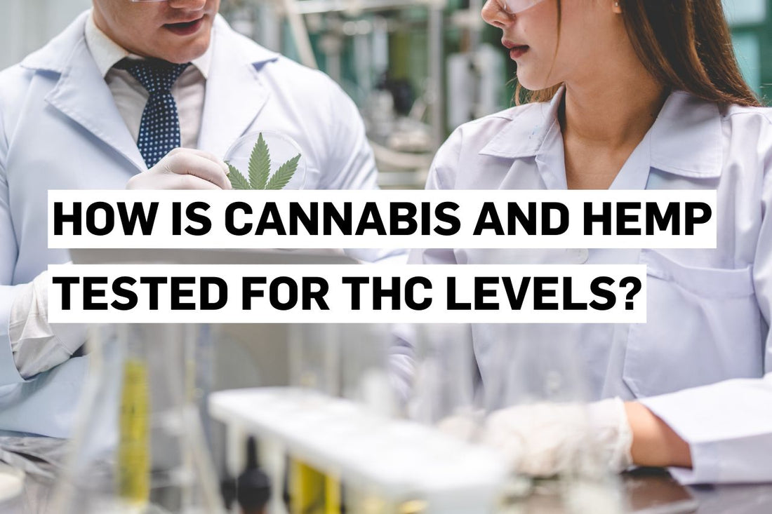 How is cannabis and hemp tested for THC levels?