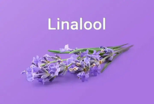 Linalool CBD oil