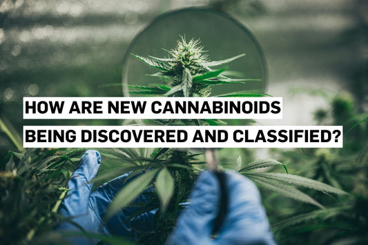 How are new cannabinoids being discovered and classified?