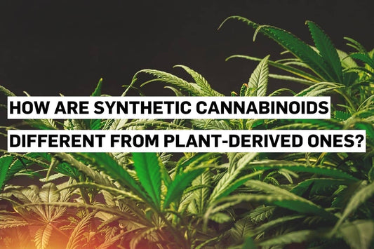 Synthetic cannabinoids compared to natural plant-derived cannabinoids.