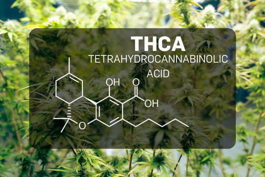 THCA chemical structure on cannabis background
