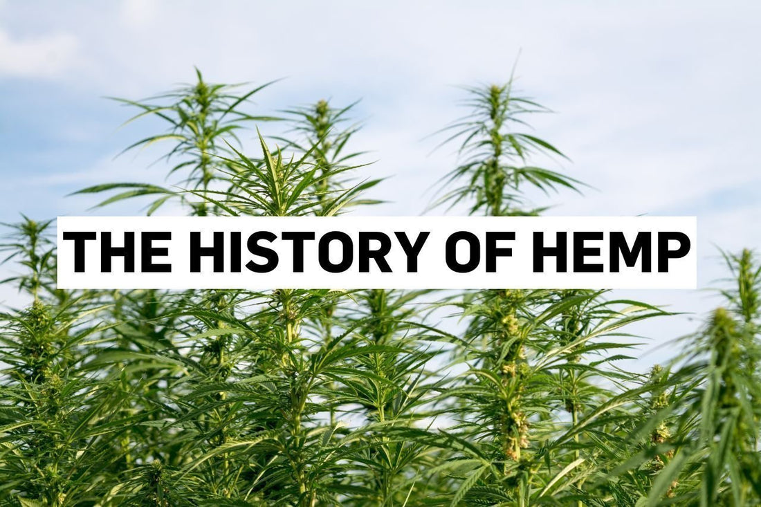 The history of hemp