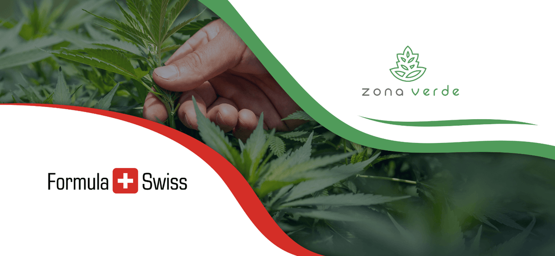 Unite: Formula Swiss & Romania’s top cannabis retailer