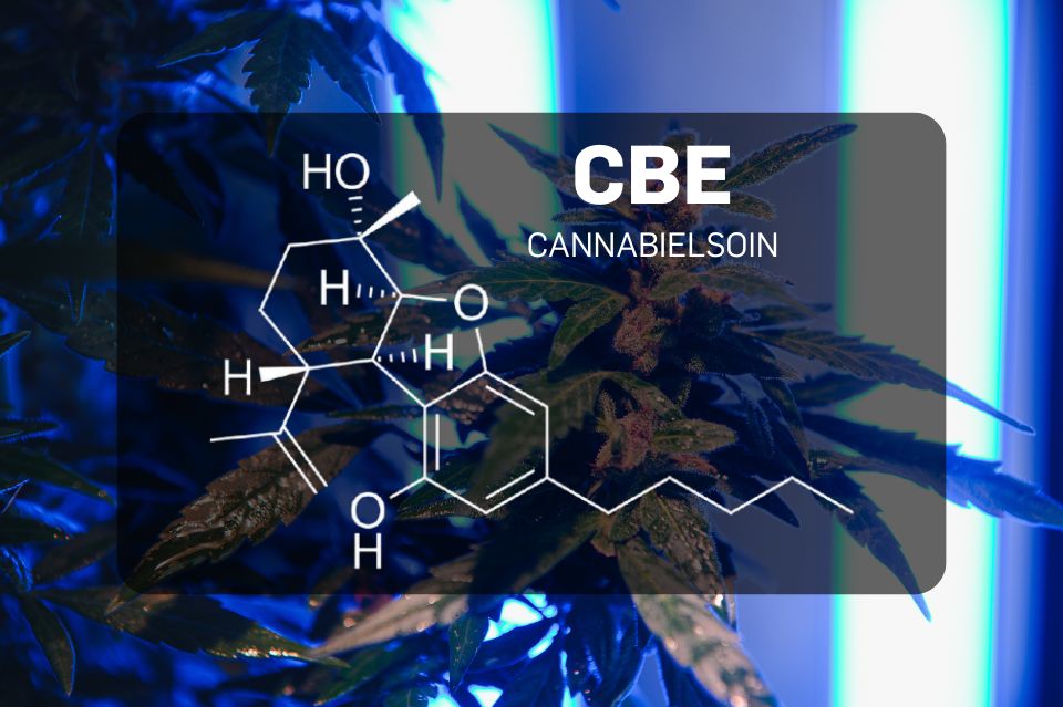CBE molecular formula with dark cannabis