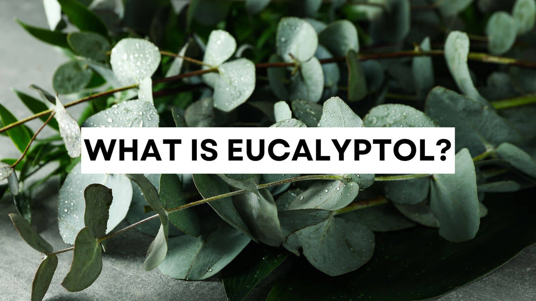 What is eucalyptol? Fresh eucalyptus leaves