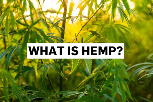 What is hemp?