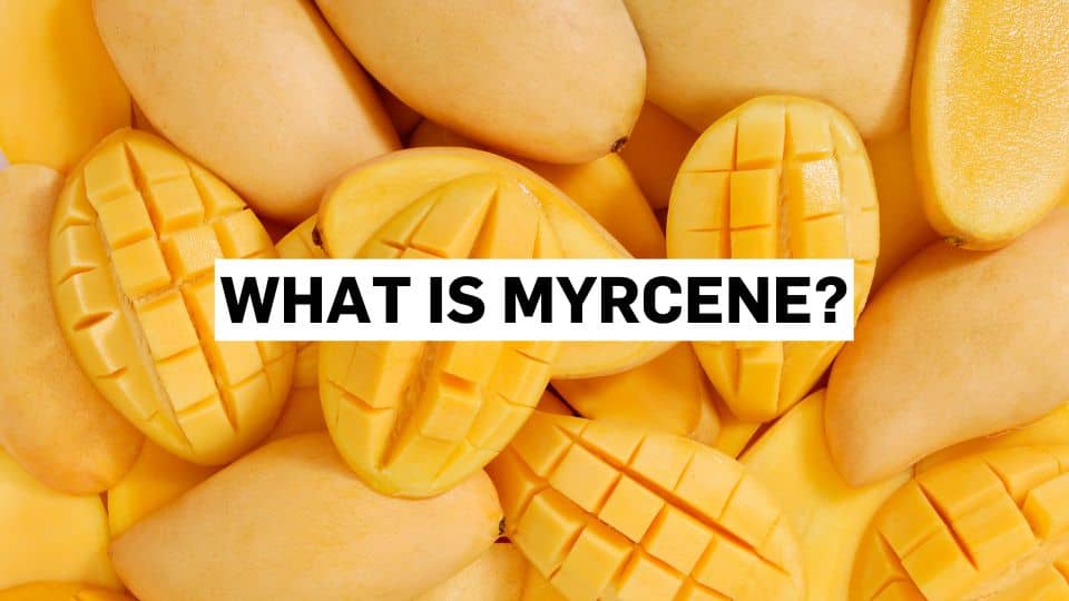 What is myrcene? The earthy terpene found in cannabis