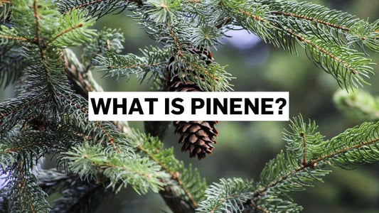 What is pinene?