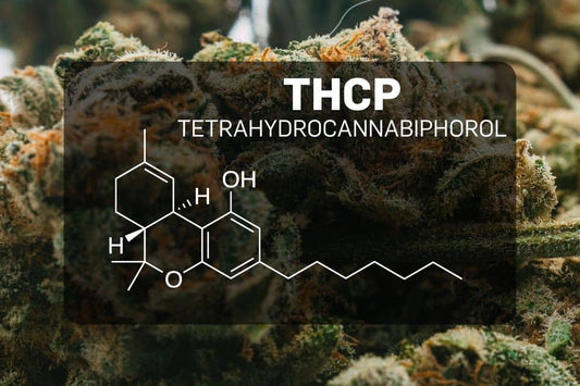 THCP structure labeled on cannabis flower background