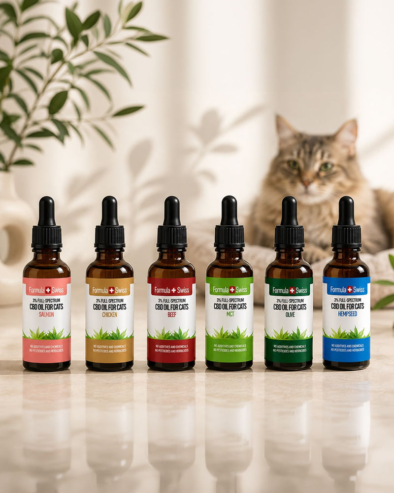CBD Oil for Cats - Clinically Tested - Formula Swiss UK