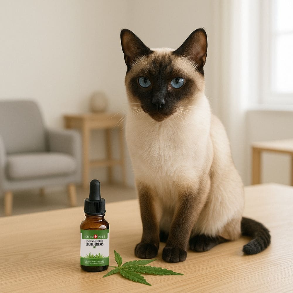 CBD oil for cats MCT oil