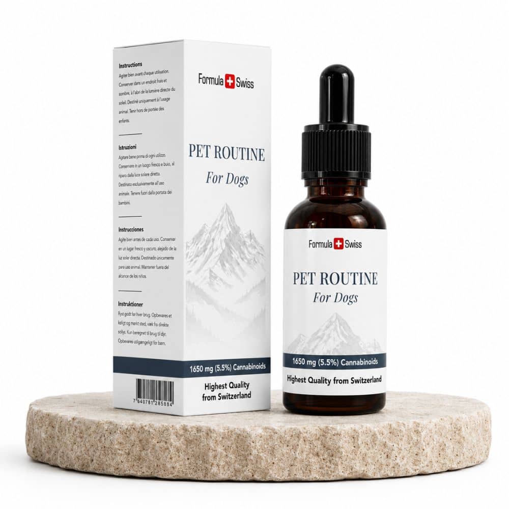Formula Swiss Pet Routine for Dogs bottle and box on a stone stand