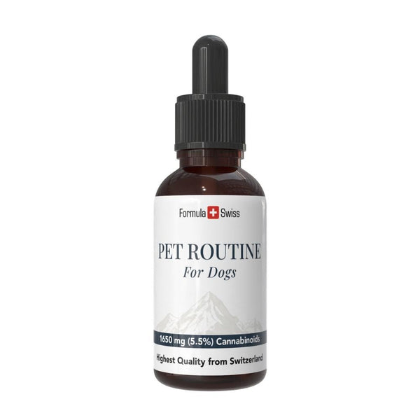 Bottle of 'Pet Routine for Dogs' with a white label on a white background
