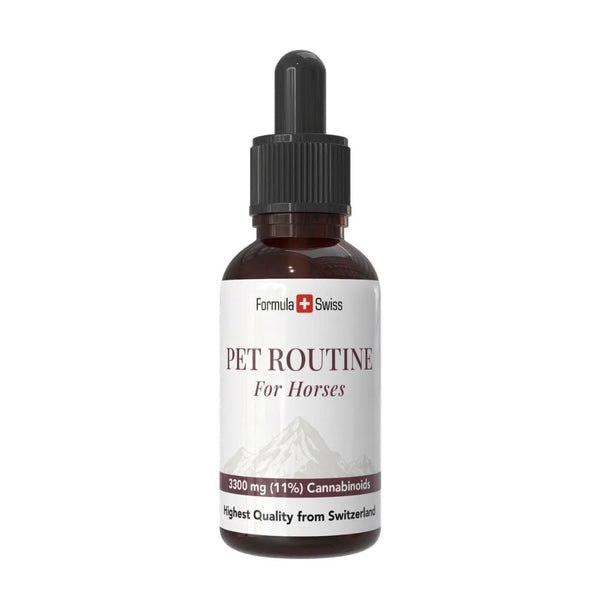 Pet Routine for Horses