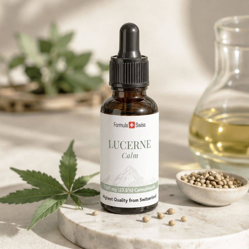 Formula Swiss Lucerne Calm cannabinoid oil bottle displayed with hemp leaves, seeds and golden oil in a bright natural setting.